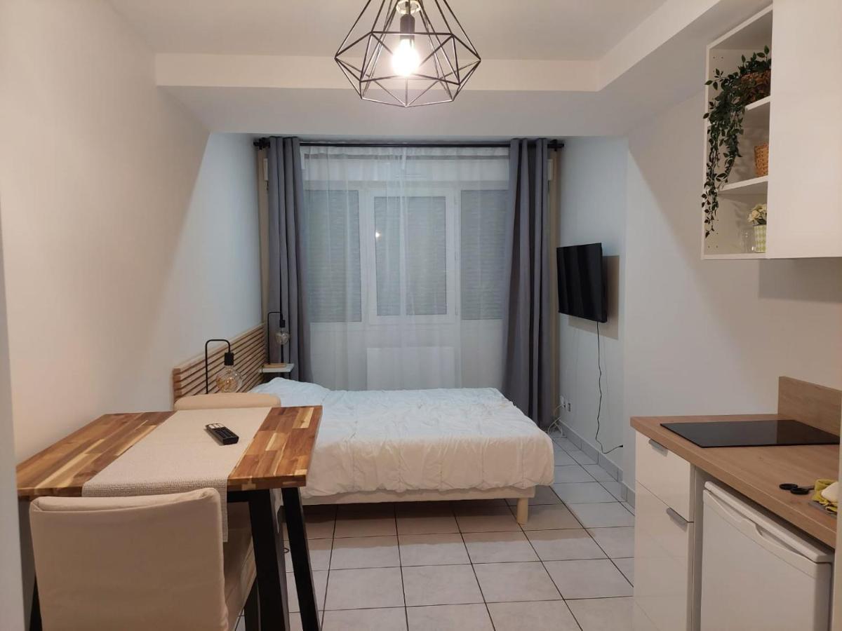 Apt Lyon Flachet Villeurbanne Buitenkant foto